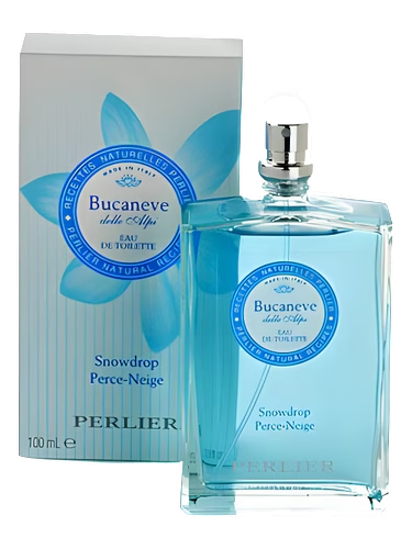 Bucaneve (Snowdrop)