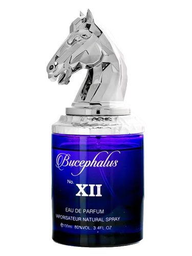 Bucephalus XII