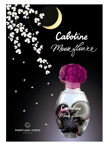 Cabotine Moon Flower