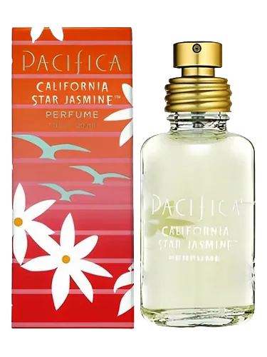California Star Jasmine by Pacifica