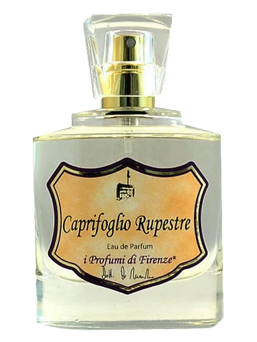 Caprifoglio Rupestre