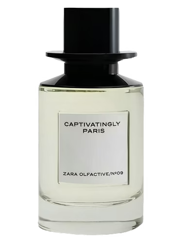 Captivatingly Paris