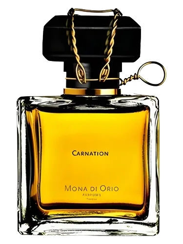 Carnation by Mona di Orio