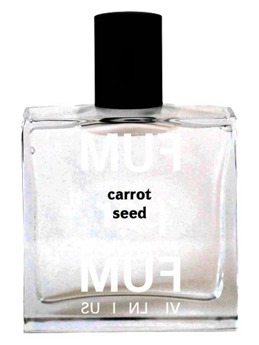 Carrot Seed