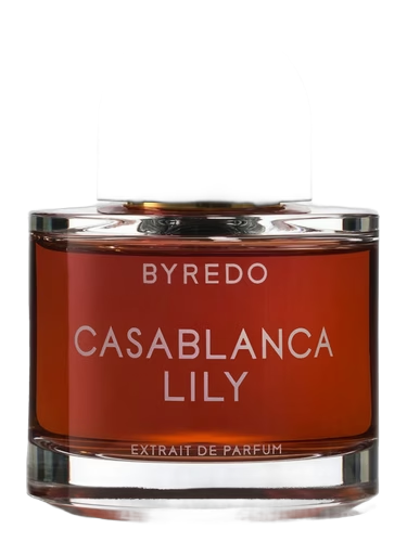 Casablanca Lily 2019
