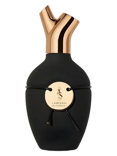 Cashmeran in Cognac by Scents of Wood