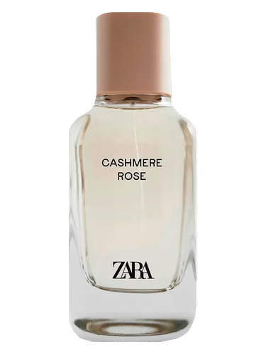 Cashmere Rose