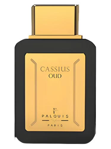 Cassius Oud