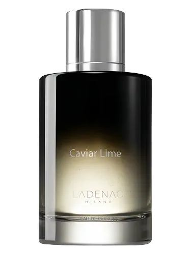 Caviar Lime by Ladenac