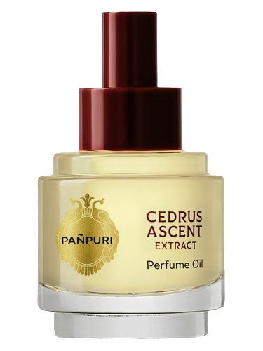 Cedrus Ascent