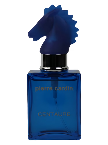 Centaure Cuir Casaque