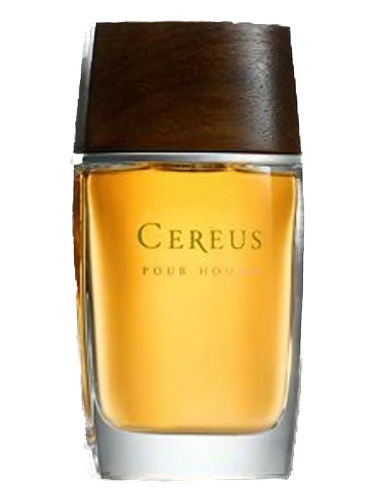 Cereus No.11