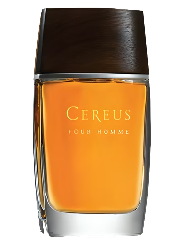 Cereus No. 14
