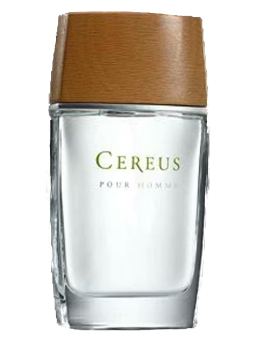 Cereus No.4