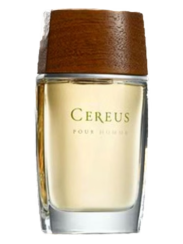 Cereus No.7