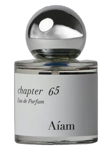 Chapter 65 by Aíam