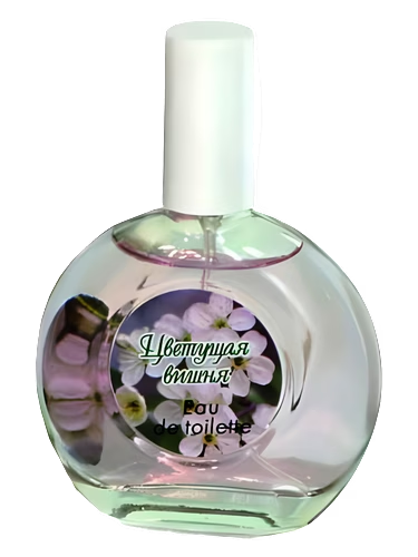 Cherry Blossom Цветущая Вишня