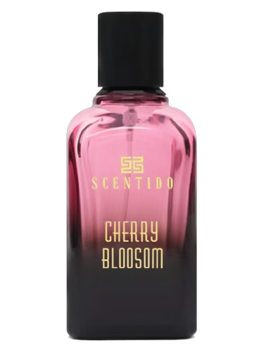 Cherry Blossom