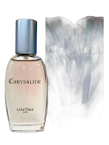 Chrysalide Now or Never