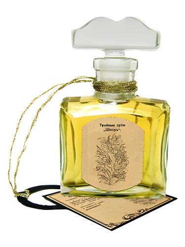 Chypre