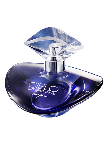 Cielo de Noche