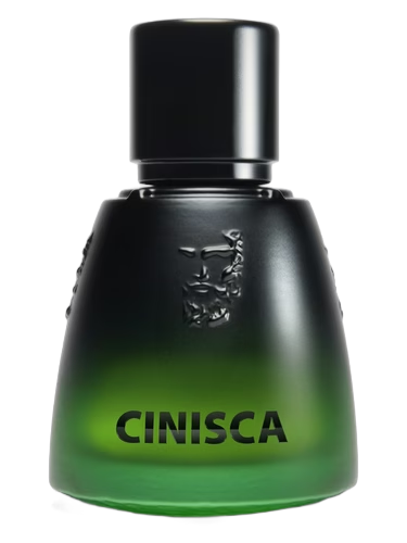 Cinisca