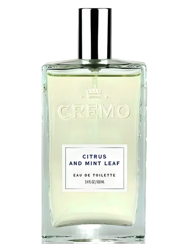 Citrus and Mint Leaf