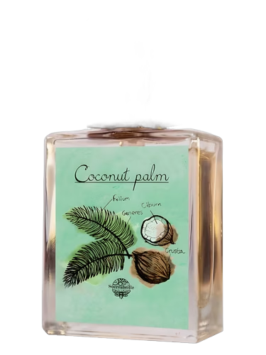 Coconut Palm by Sucreabeille
