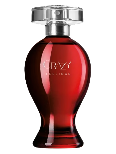 Crazy Feelings
