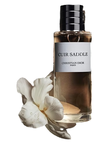 Cuir Saddle