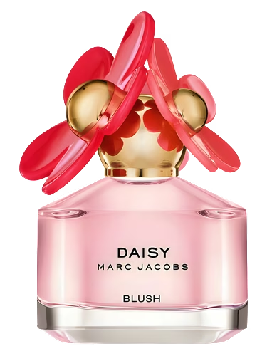 Daisy Blush