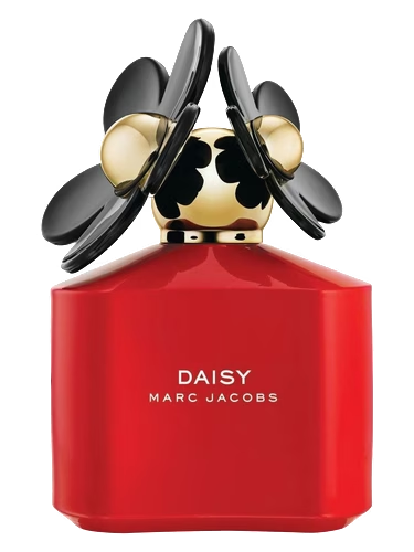 Daisy Pop Art Edition