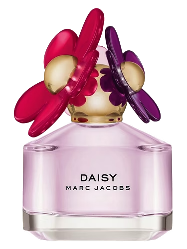 Daisy Sorbet