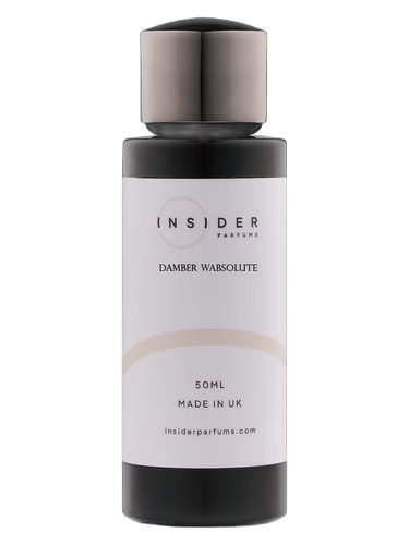 Damber Wabsolute
