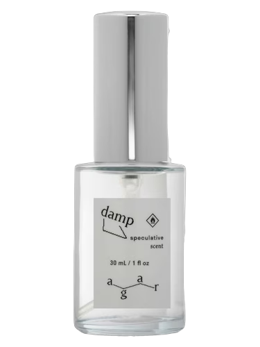 Damp