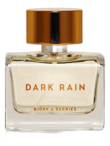 Dark Rain
