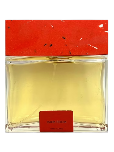 Dark Room by Pictor Parfum