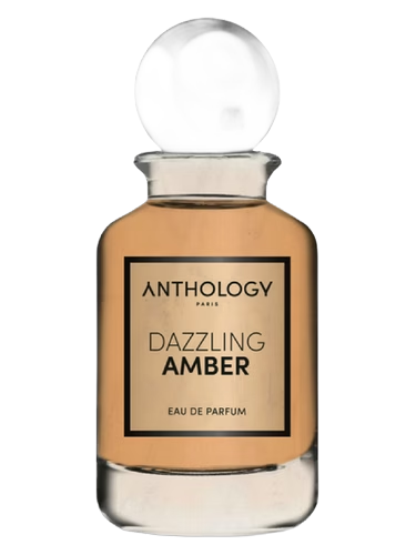 Dazzling Amber by Anthology