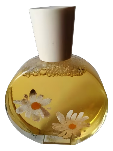 Delicate Daisy