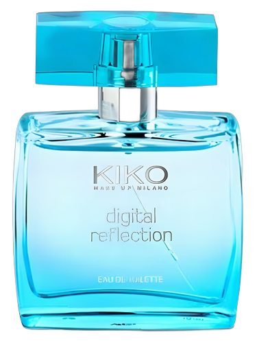 Digital Reflection