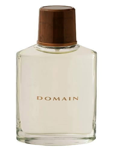 Domain