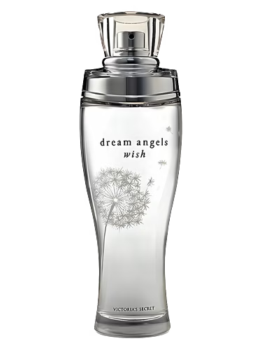 Dream Angels Wish
