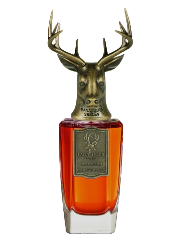 Dux Orientis