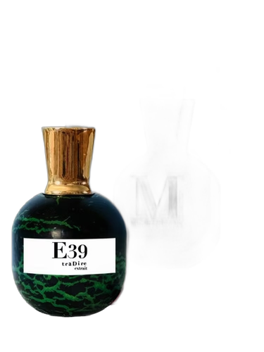 E39 – traDire