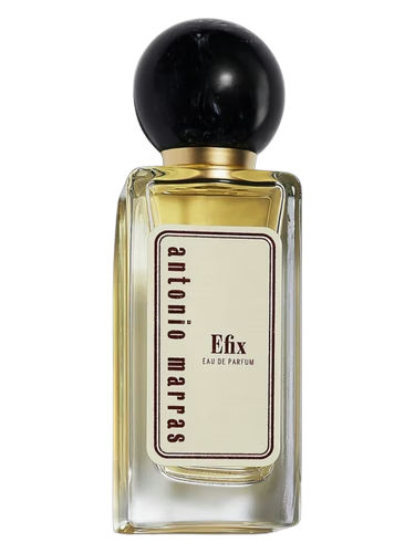 Efix