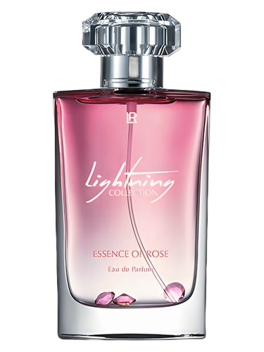 Emma Heming-Willis Essence of Rose by LR
