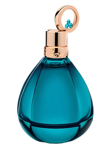 Enchanted Midnight Spell