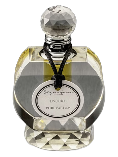 Endure by Signature Fragrances