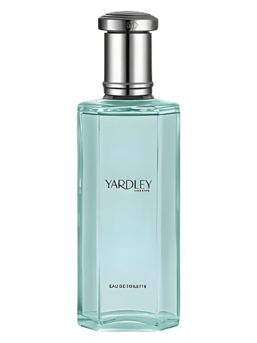 English Bluebell Contemporary Edition