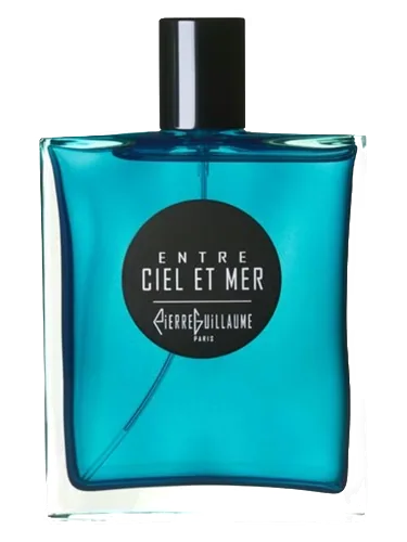 Entre Ciel et Mer by Pierre Guillaume Paris